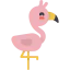 Flamingo icône 64x64