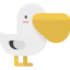 Pelican icône 64x64