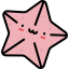 Starfish 图标 64x64