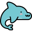 Dolphin 图标 64x64