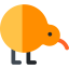 Kiwi icon 64x64