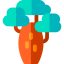Baobab Ikona 64x64