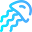 Jellyfish icon 64x64