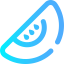 Melon icon 64x64