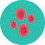 Red blood cells icon 64x64