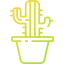Cactus icon 64x64