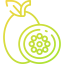 Maracuya icon 64x64