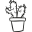 Two Cactus In a Pot 图标 64x64