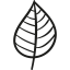 Garden Leaf 图标 64x64