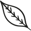 Fall Leaf 图标 64x64