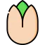 Pistachio Symbol 64x64