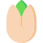 Pistachio icon 64x64