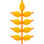 Wheat icon 64x64