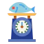 Scale icon 64x64