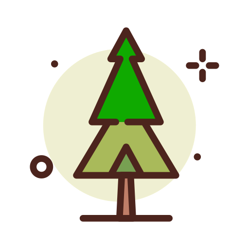 Pine icon