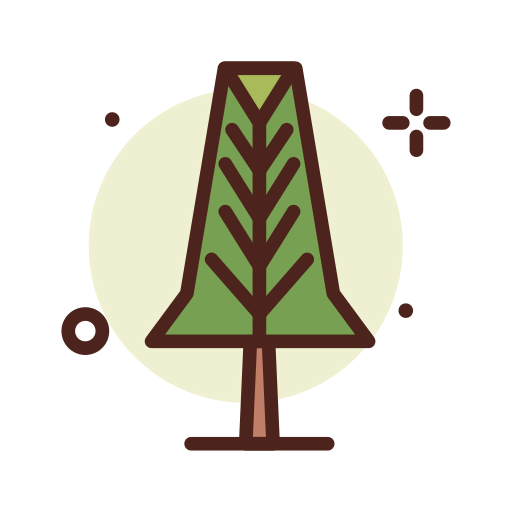 Pine icon