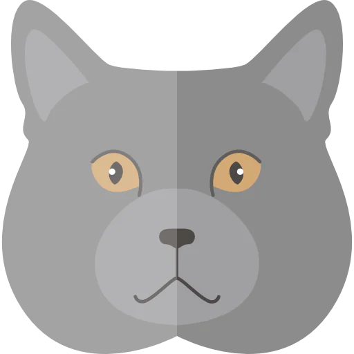 Chartreux icon
