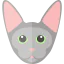 Sphynx cat icon 64x64