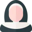 Монахиня иконка 64x64