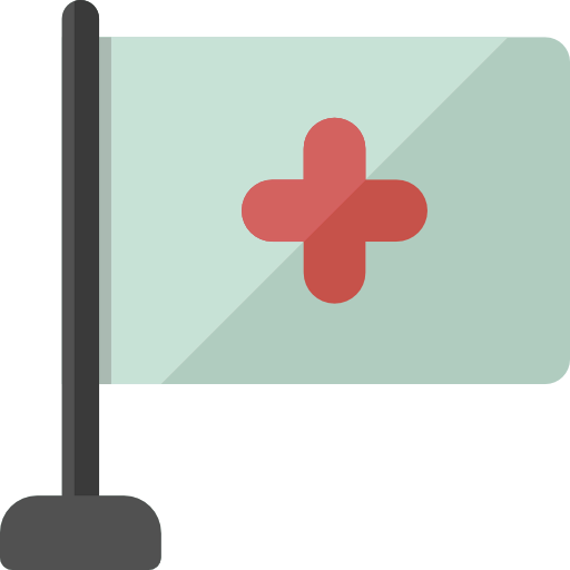 Flag icon