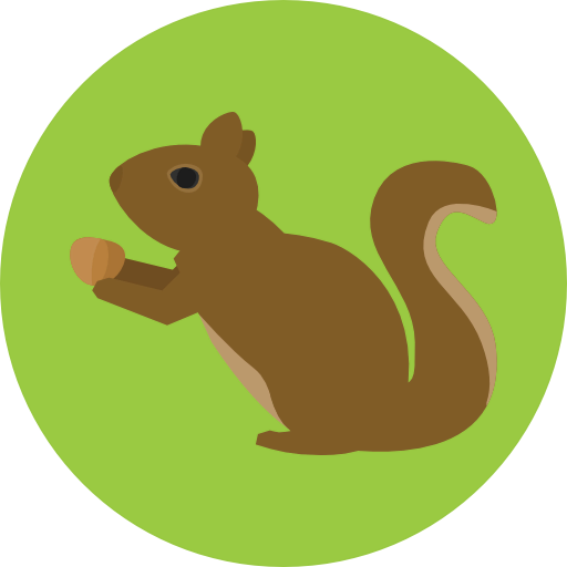 Squirrel icon