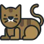 Cat 图标 64x64