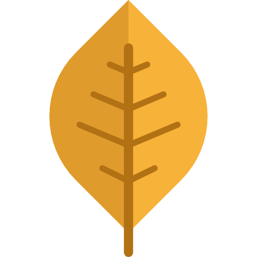 Leaf icon