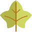 Leaf icon 64x64