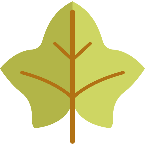 Leaf icon