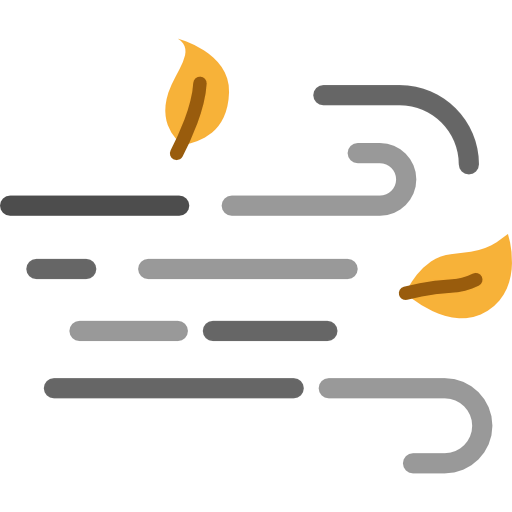 Wind icon
