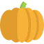 Pumpkin icon 64x64