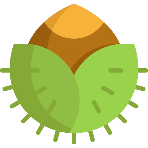 Nut icon