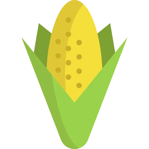 Corn icon