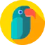 Parrot 图标 64x64
