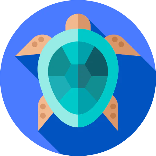 Tortoise icon