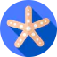 Starfish 图标 64x64