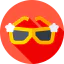 Sunglasses icon 64x64