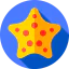 Морская звезда иконка 64x64