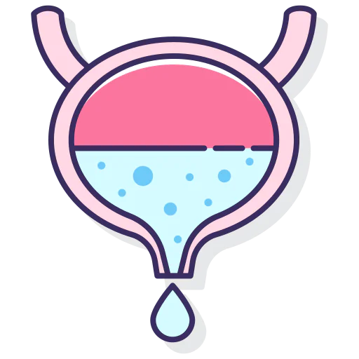 Bladder icon