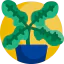 Plant icon 64x64