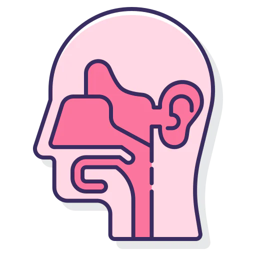 Head 图标