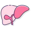 Liver icon 64x64