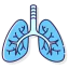 Lungs Ikona 64x64
