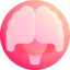 Human brain іконка 64x64