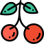 Cherries іконка 64x64