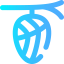 Cocoon icon 64x64