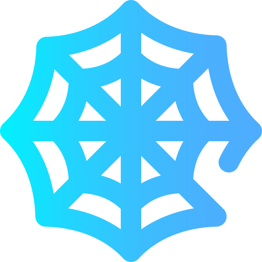 Spider web 图标