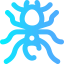 Pheidole 图标 64x64