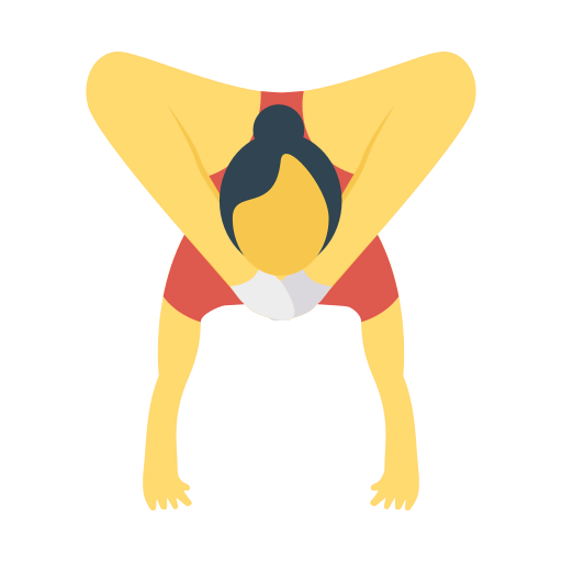 Acrobat icon