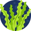 Seaweed icon 64x64